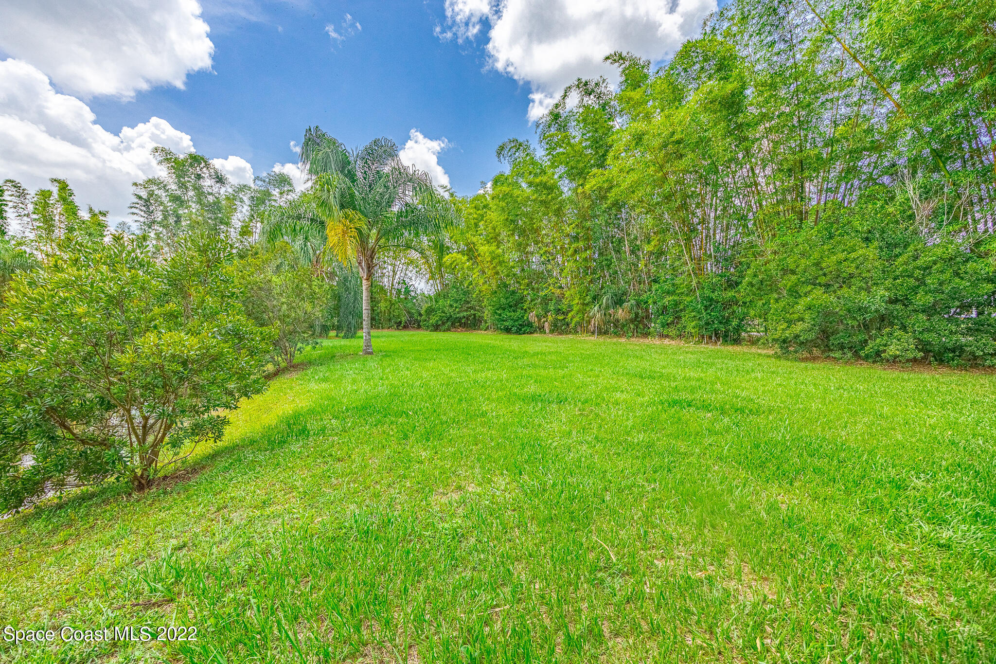 2030 Weber Road Malabar, FL 32950 - Photo 28 of 41 a view of a grassy field with trees in the background