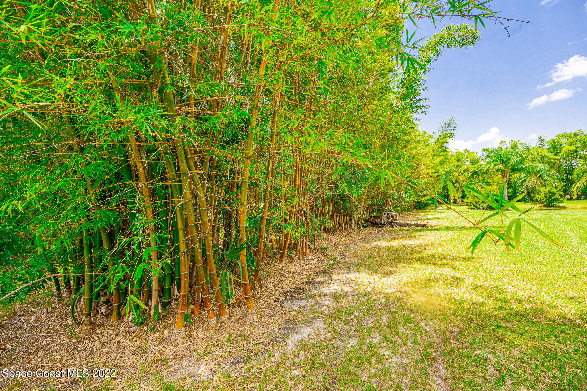2030 Weber Road Malabar, FL 32950 - Photo 33 of 41 a view of yard with small space