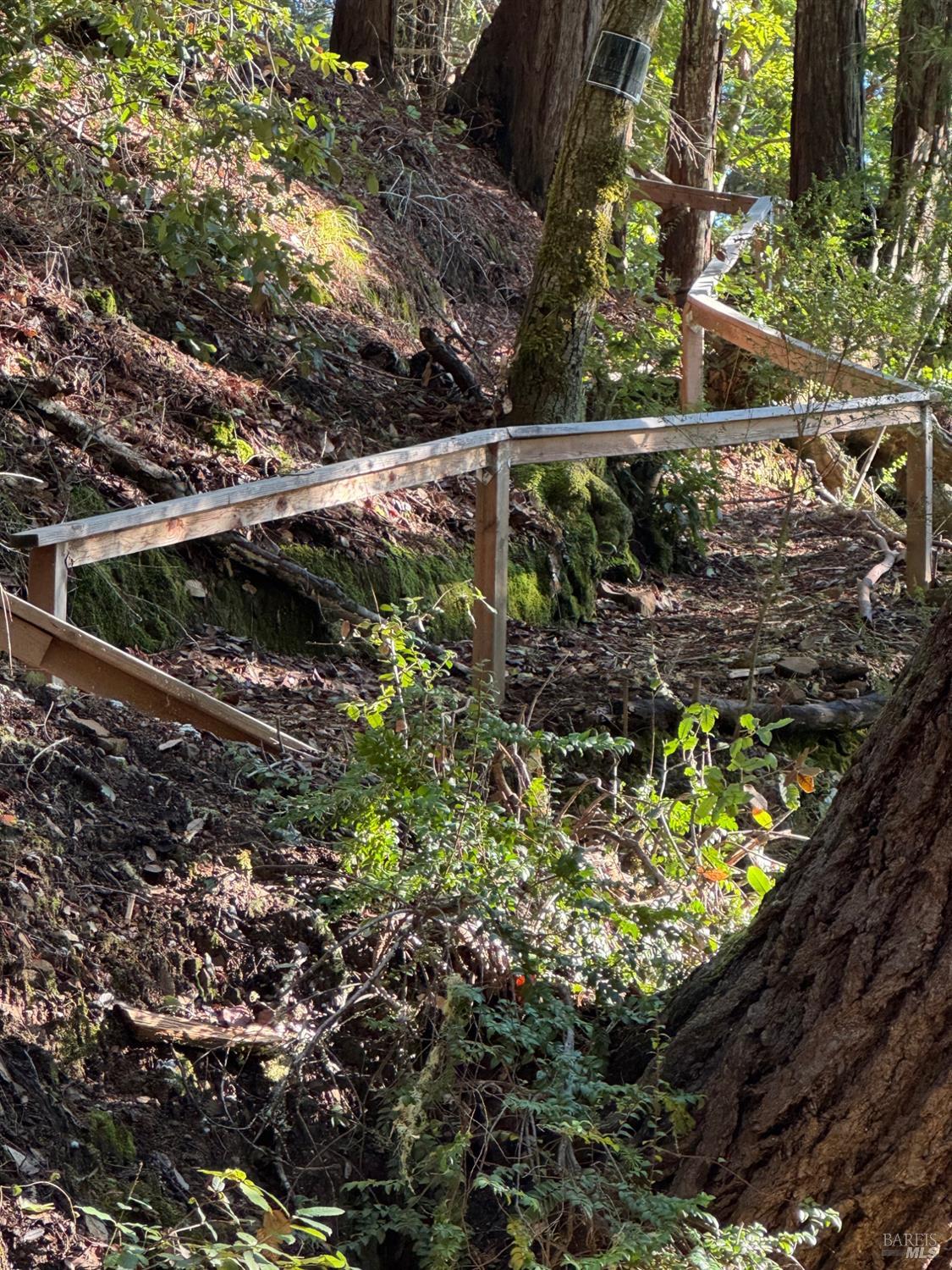 17561 Duncan Road Guerneville, CA 95446 - Photo 5 of 10 a view of outdoor space with a tree
