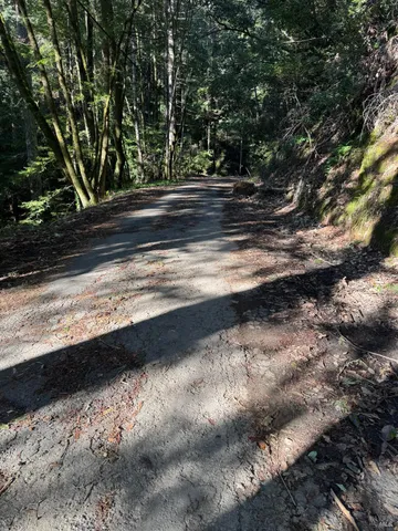 a view of a yard on a road