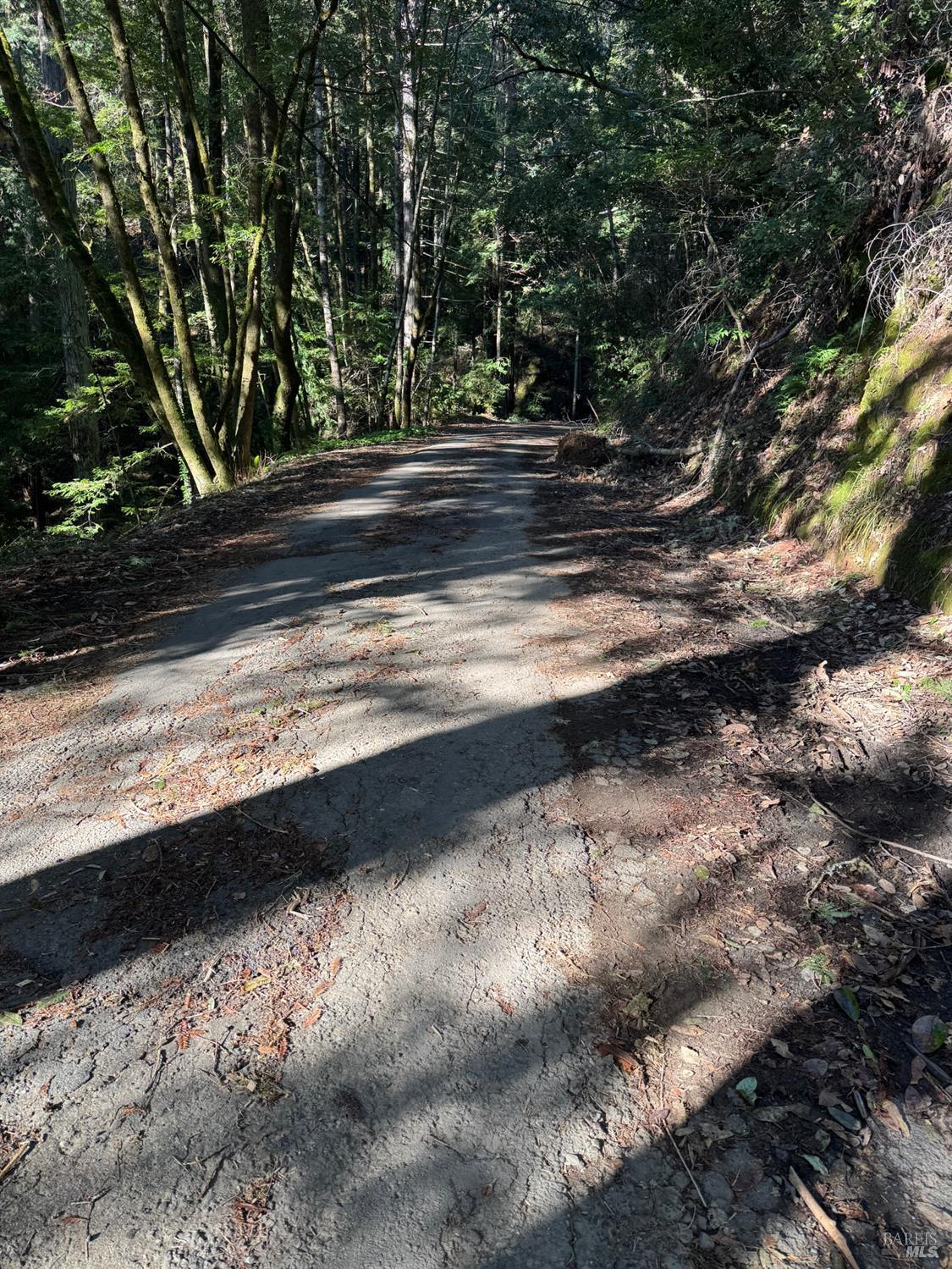 17561 Duncan Road Guerneville, CA 95446 - Photo 8 of 10 a view of a yard on a road