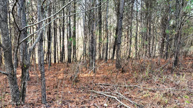 $34,900 | 648 Nc 45 Street South, Cofield, NC 27922