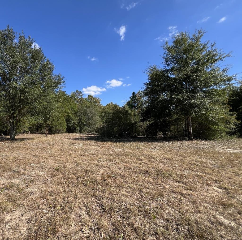 Lot 30 Fairview Road Marianna, FL 32448 - Photo 3 of 30 Gallery Image 3
