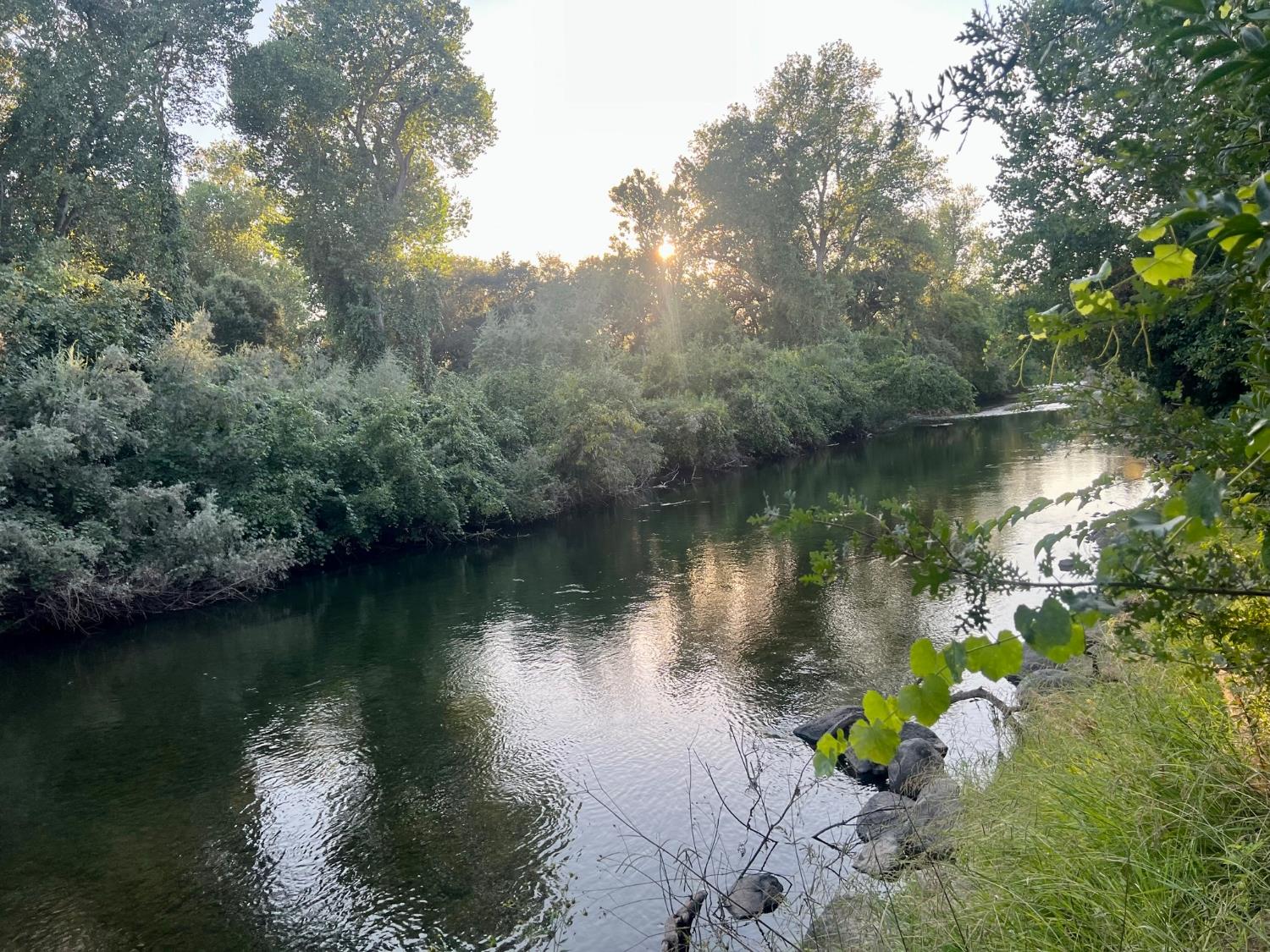 12024 Rodden Road Oakdale, CA 95361 - Photo 2 of 5 a body of water with a tree in the background