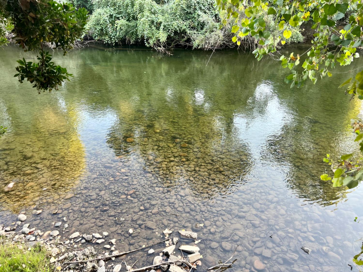 12024 Rodden Road Oakdale, CA 95361 - Photo 3 of 5 a view of a lake view