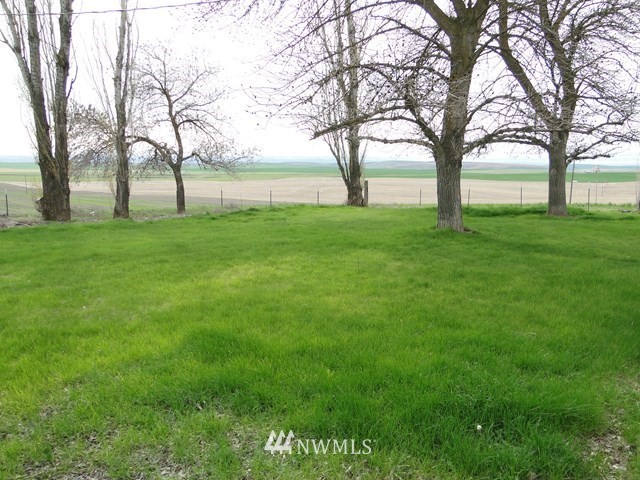 3890 Upton Road Prescott, WA 99348 - Photo 18 of 31 a view of yard with trees