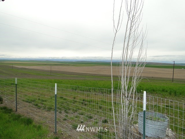 3890 Upton Road Prescott, WA 99348 - Photo 19 of 31 a view of a garden