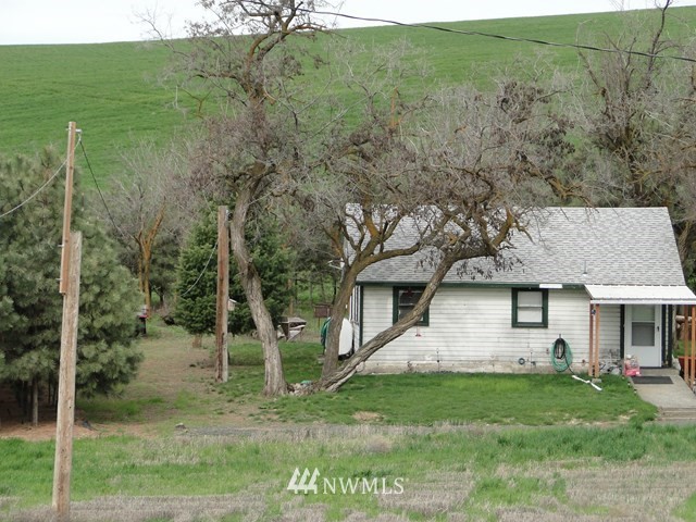 3890 Upton Road Prescott, WA 99348 - Photo 22 of 31 a view of a yard in front of a house with plants and large tree