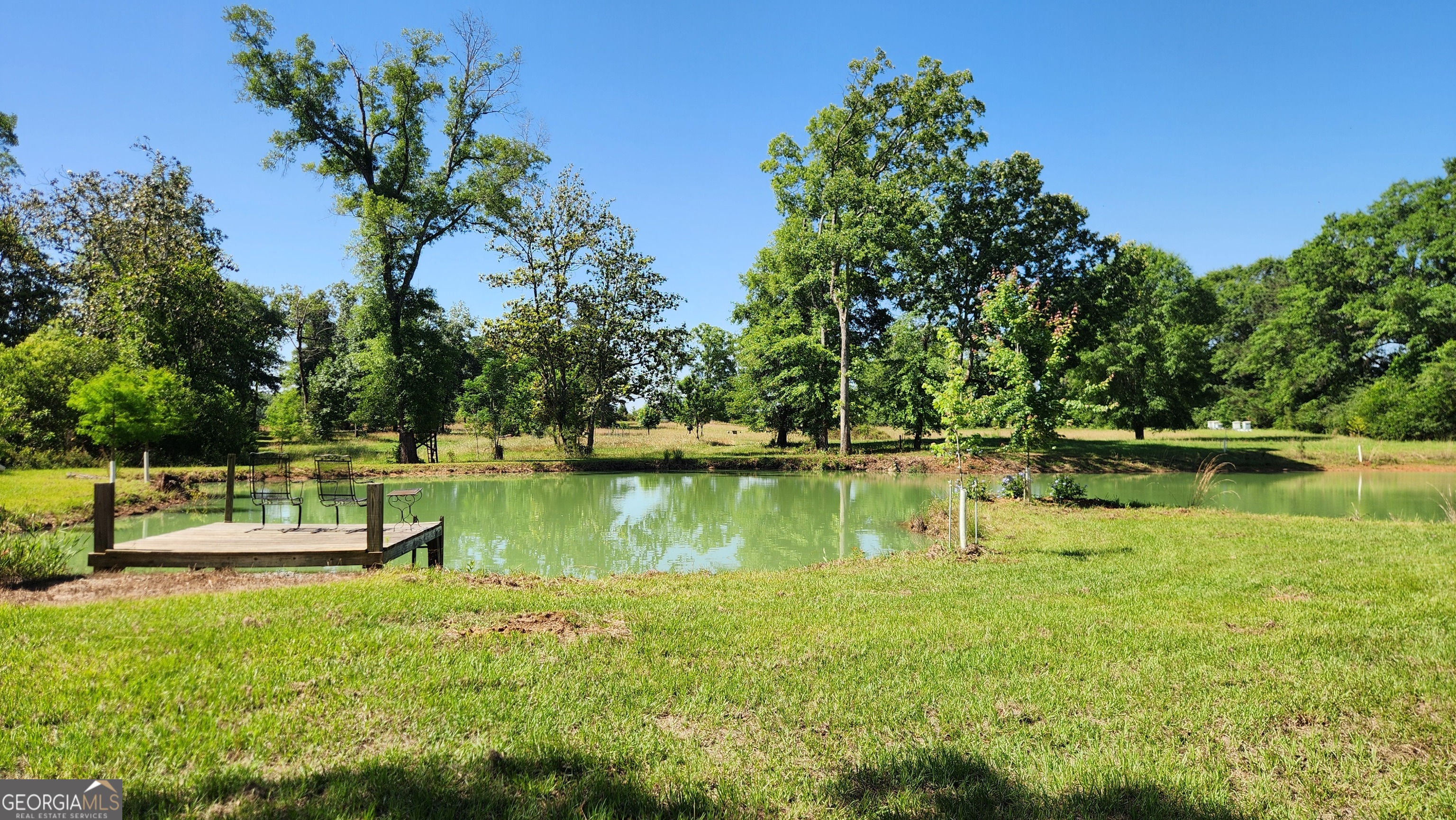 246 Melton Mill Road Dawson, GA 39842 - Photo 5 of 78