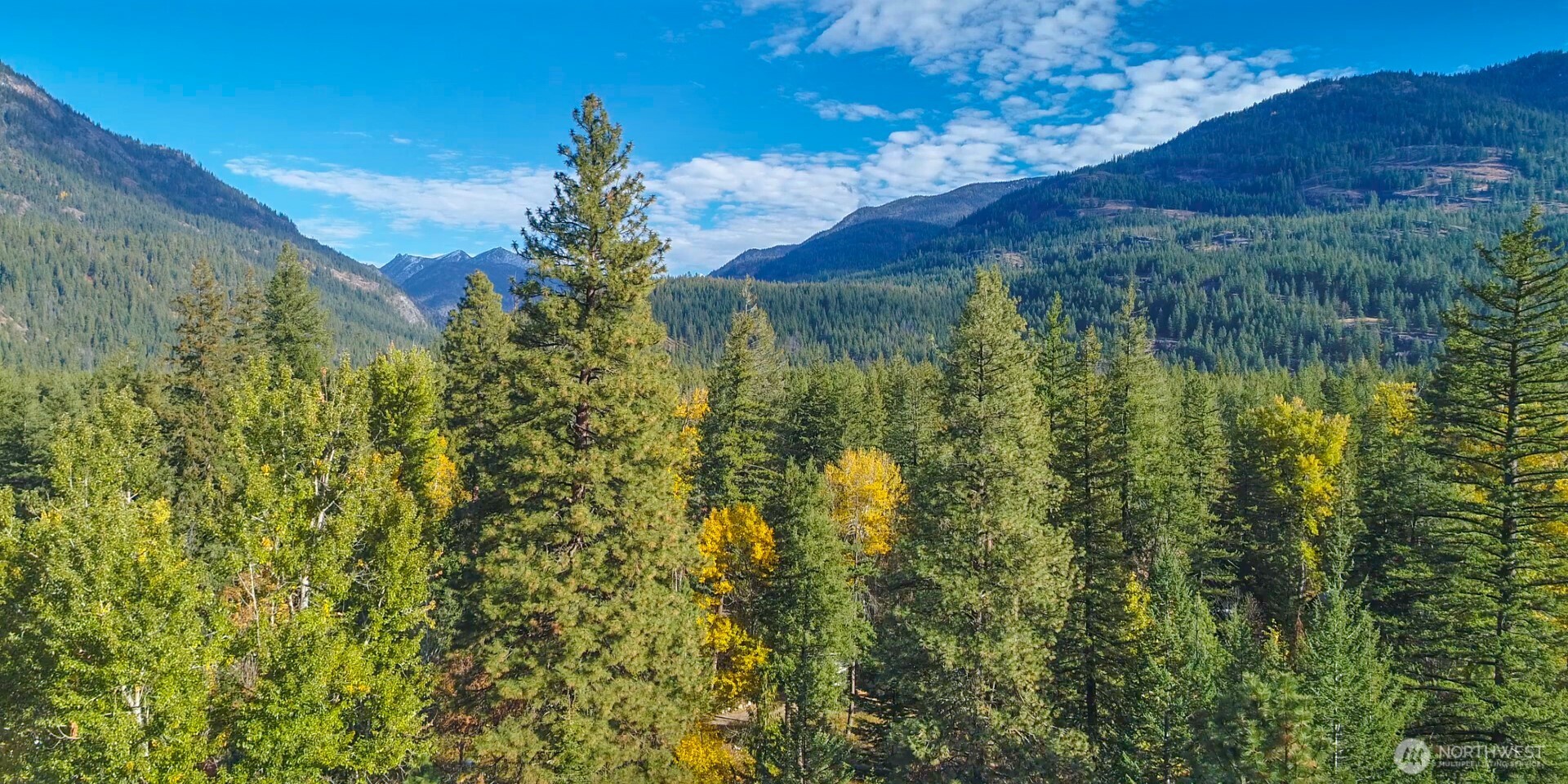 26 Mercer Road Mazama, WA 98833 - Photo 33 of 40