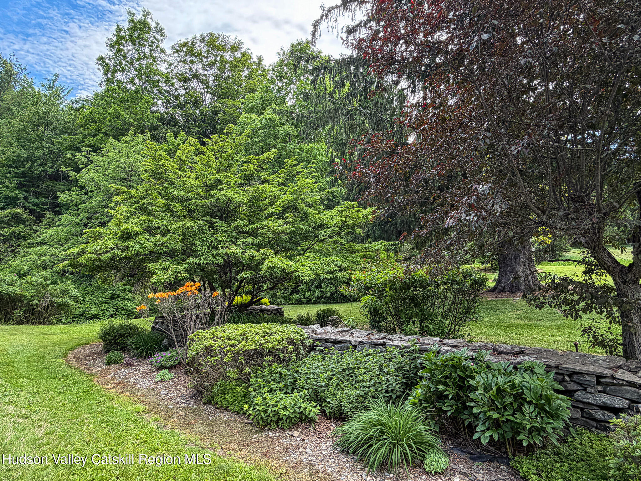 221 Camp Medusa Road Rensselaerville, NY 12120 - Photo 40 of 57 a view of a lush green forest