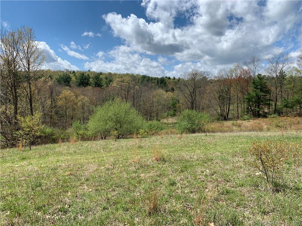 42 Dillenback Road Somers, CT 06071 - Photo 1 of 1 Mountain Road view