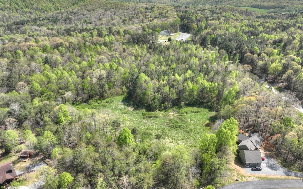 Lot11 Lot11 Evergreen Ridge Road Ellijay, GA 30536 - Photo 2 of 4 Additional View