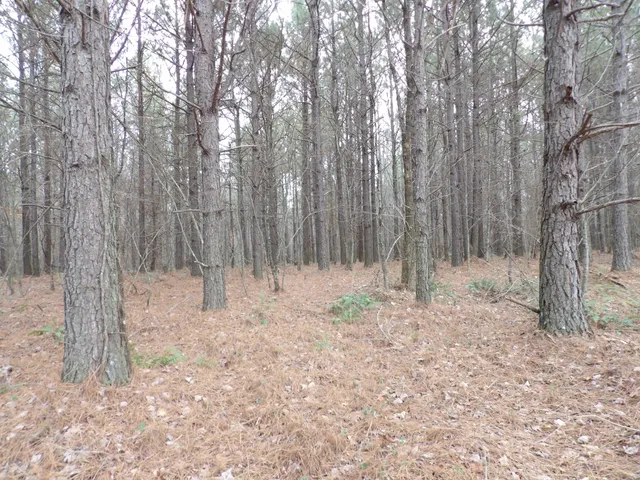 $109,000 | Lot 19 Summercity Road, Evensville, TN 37332