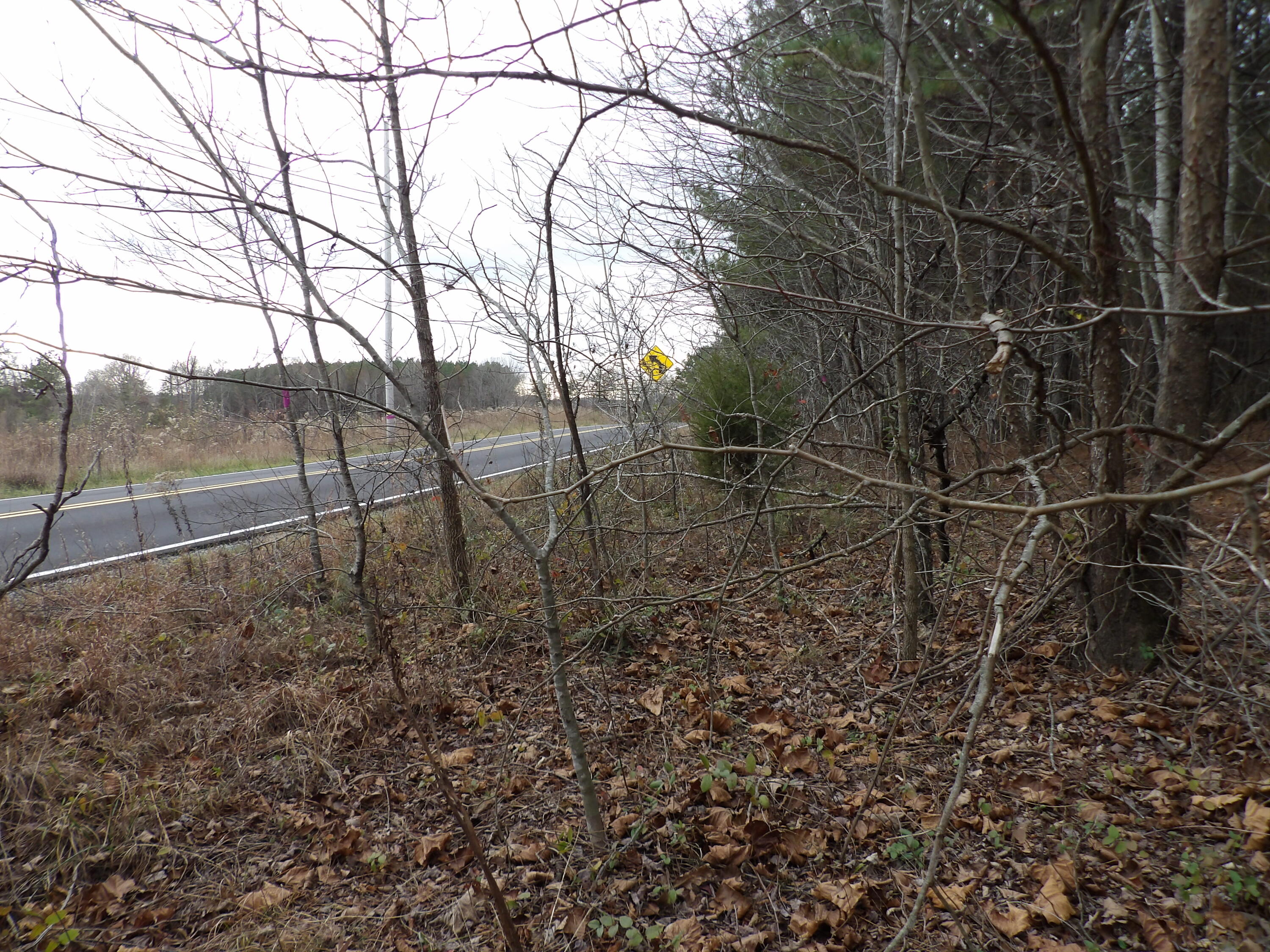 Lot 19 Summercity Road Evensville, TN 37332 - Photo 16 of 20 100_2076