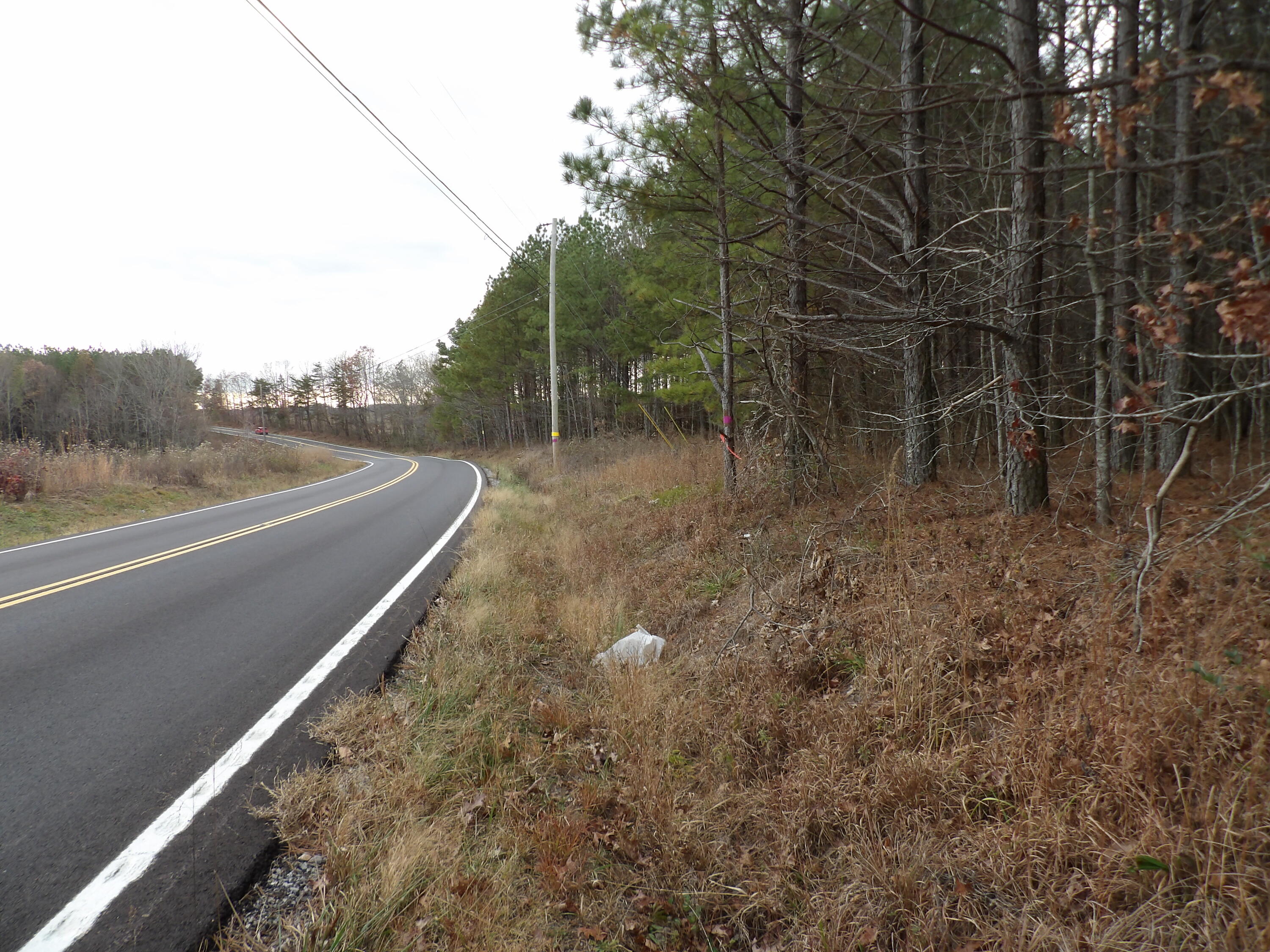 Lot 19 Summercity Road Evensville, TN 37332 - Photo 18 of 20 100_2074