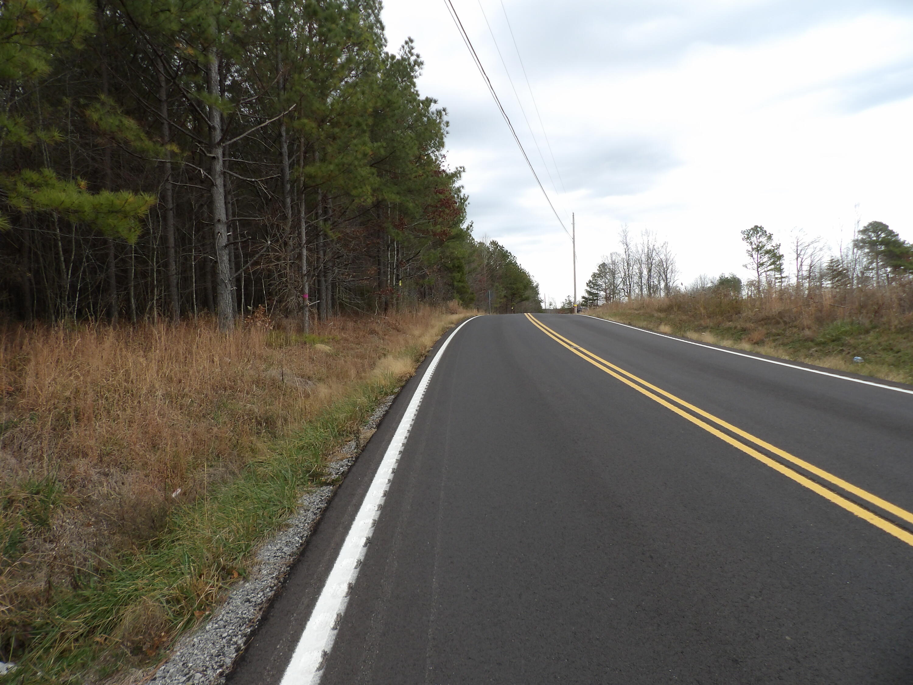 Lot 19 Summercity Road Evensville, TN 37332 - Photo 19 of 20 100_2058