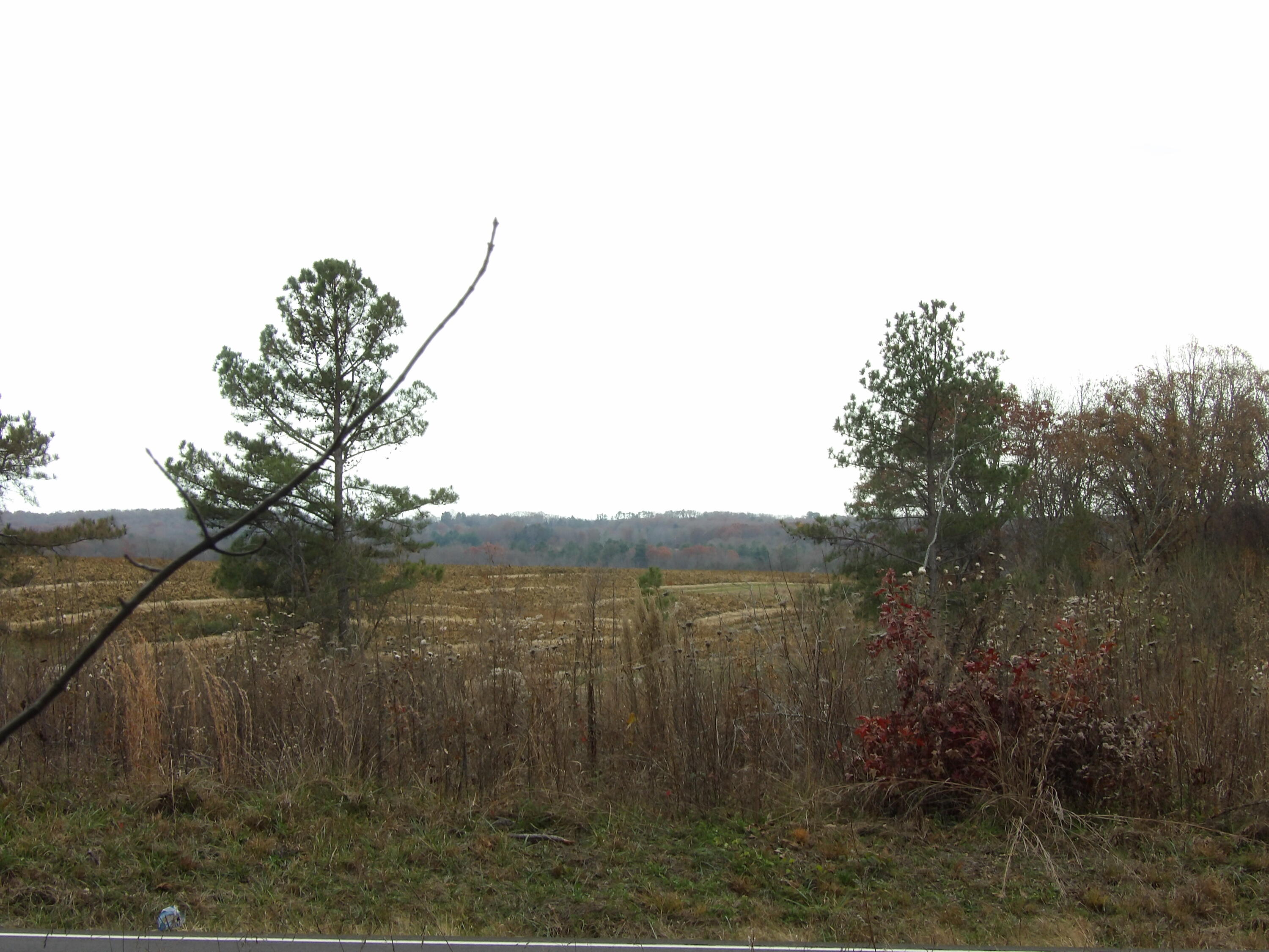 Lot 19 Summercity Road Evensville, TN 37332 - Photo 7 of 20 100_2065