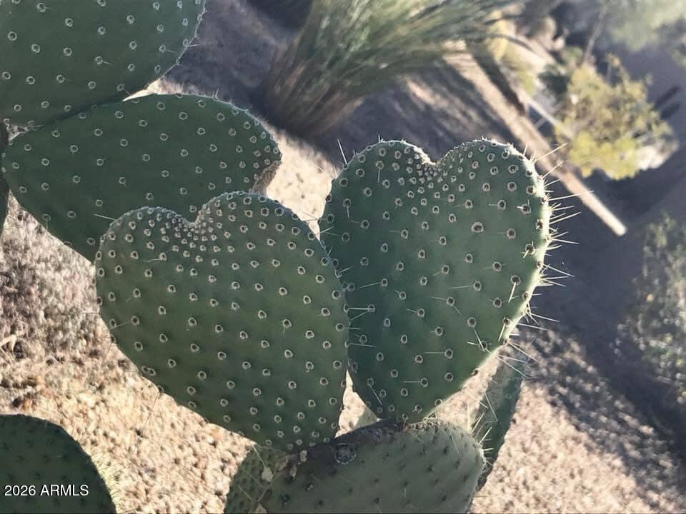 39402 North Spur Cross Road Cave Creek, AZ 85331 - Photo 28 of 28 A Cave Creek Gem