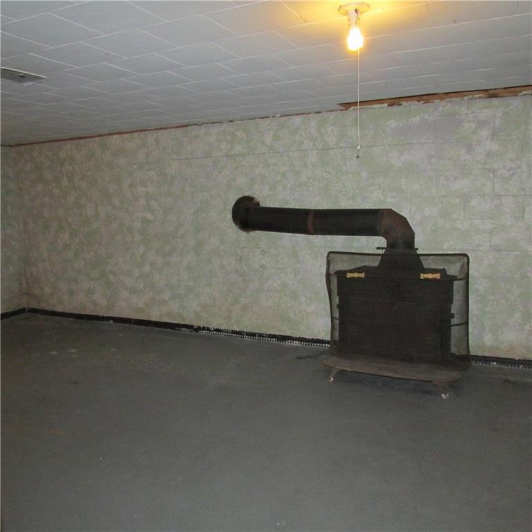 101 Century Farm Road Clinton, PA 15026 - Photo 21 of 24 Basement with franklin stove.