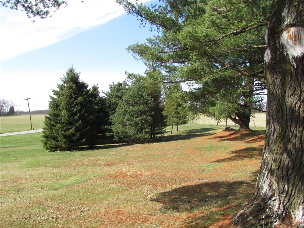 101 Century Farm Road Clinton, PA 15026 - Photo 8 of 24 Front side yard.