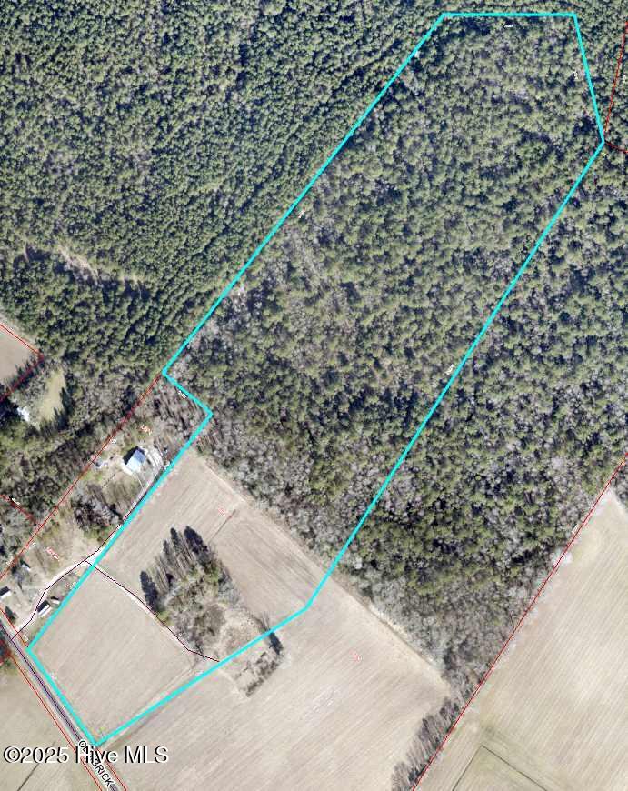 2661 Old Brick Road Vanceboro, NC 28586 - Photo 2 of 6 34+ Acres of Opportunity