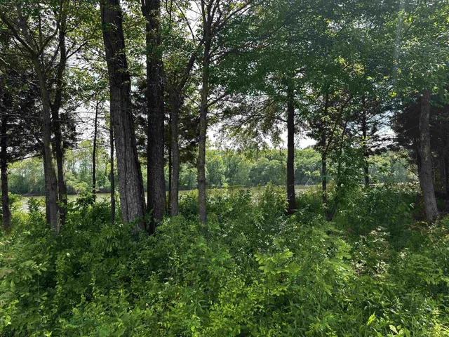 a view of a golf course with a lake
