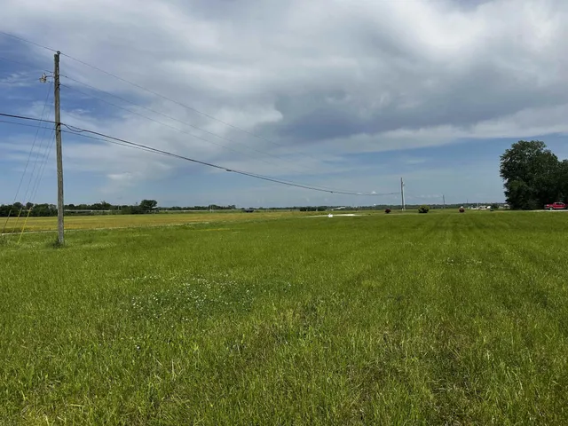 a view of a park with large trees