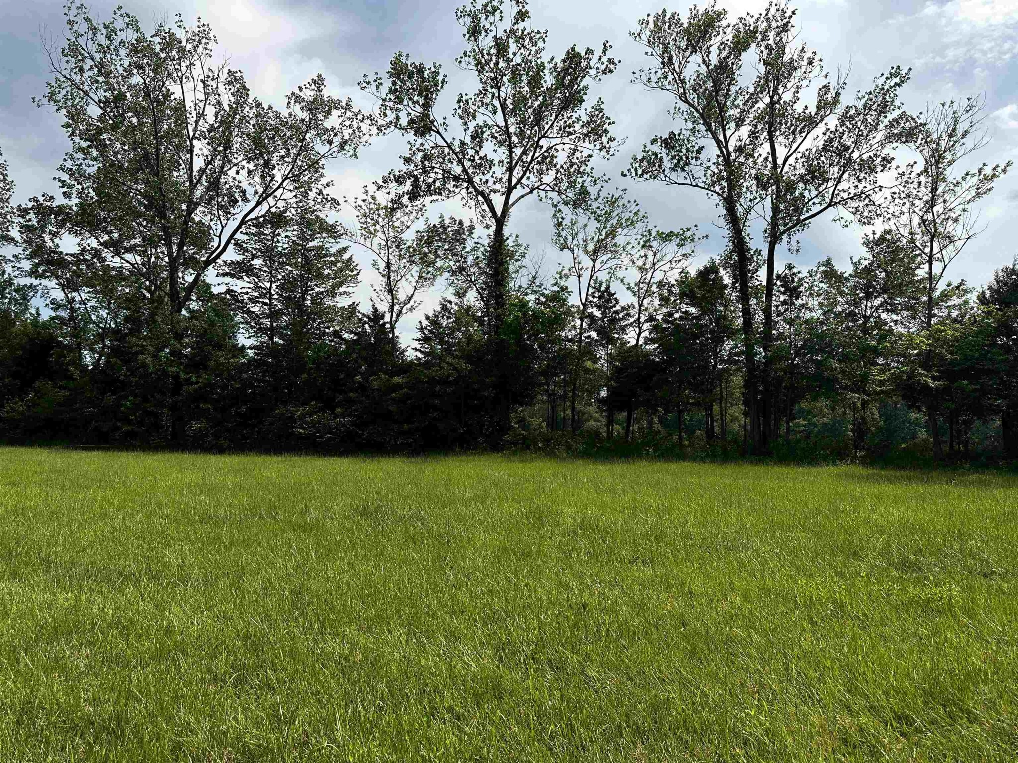 0 Catfish Lane Crump, TN 38327 - Photo 2 of 17