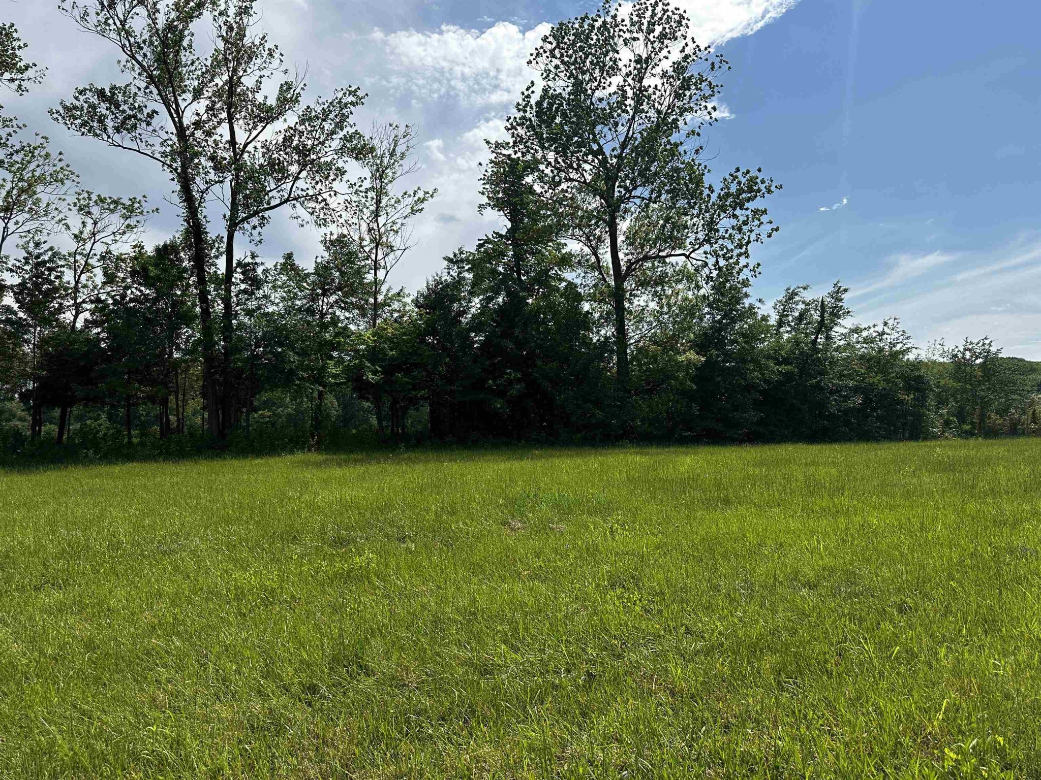0 Catfish Lane Crump, TN 38327 - Photo 3 of 17