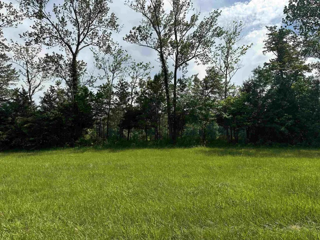 a view of a green yard