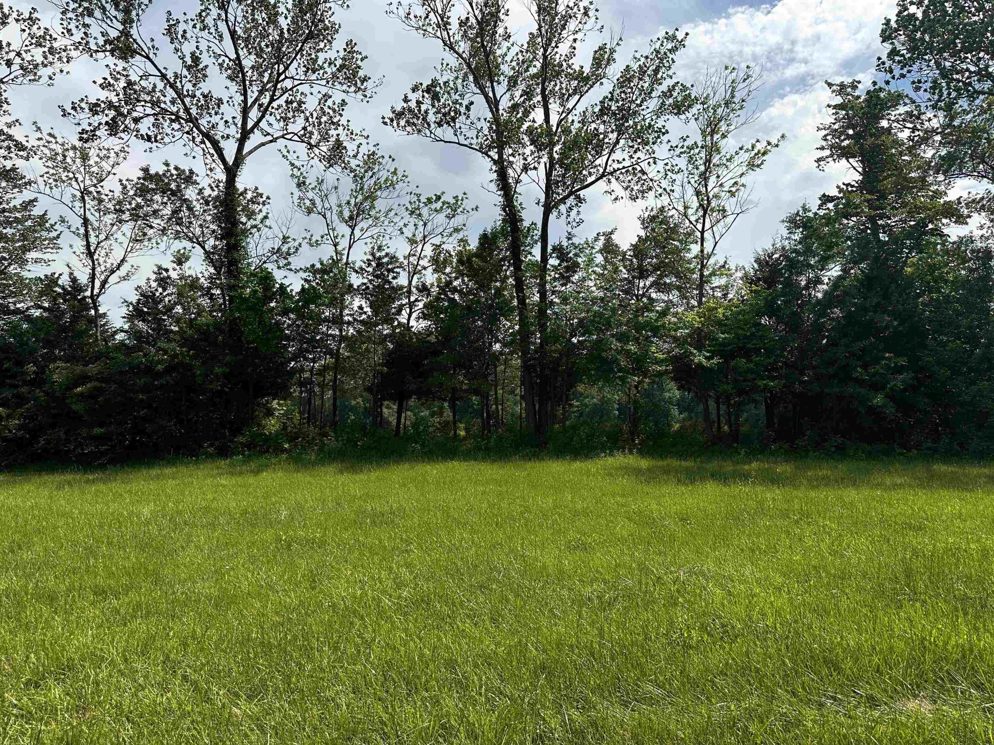 0 Catfish Lane Crump, TN 38327 - Photo 4 of 17