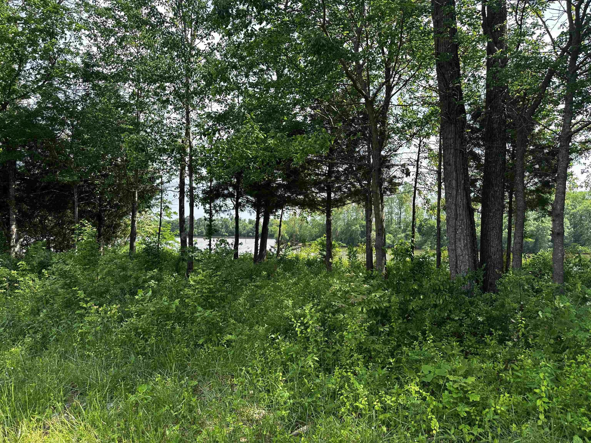 0 Catfish Lane Crump, TN 38327 - Photo 7 of 17