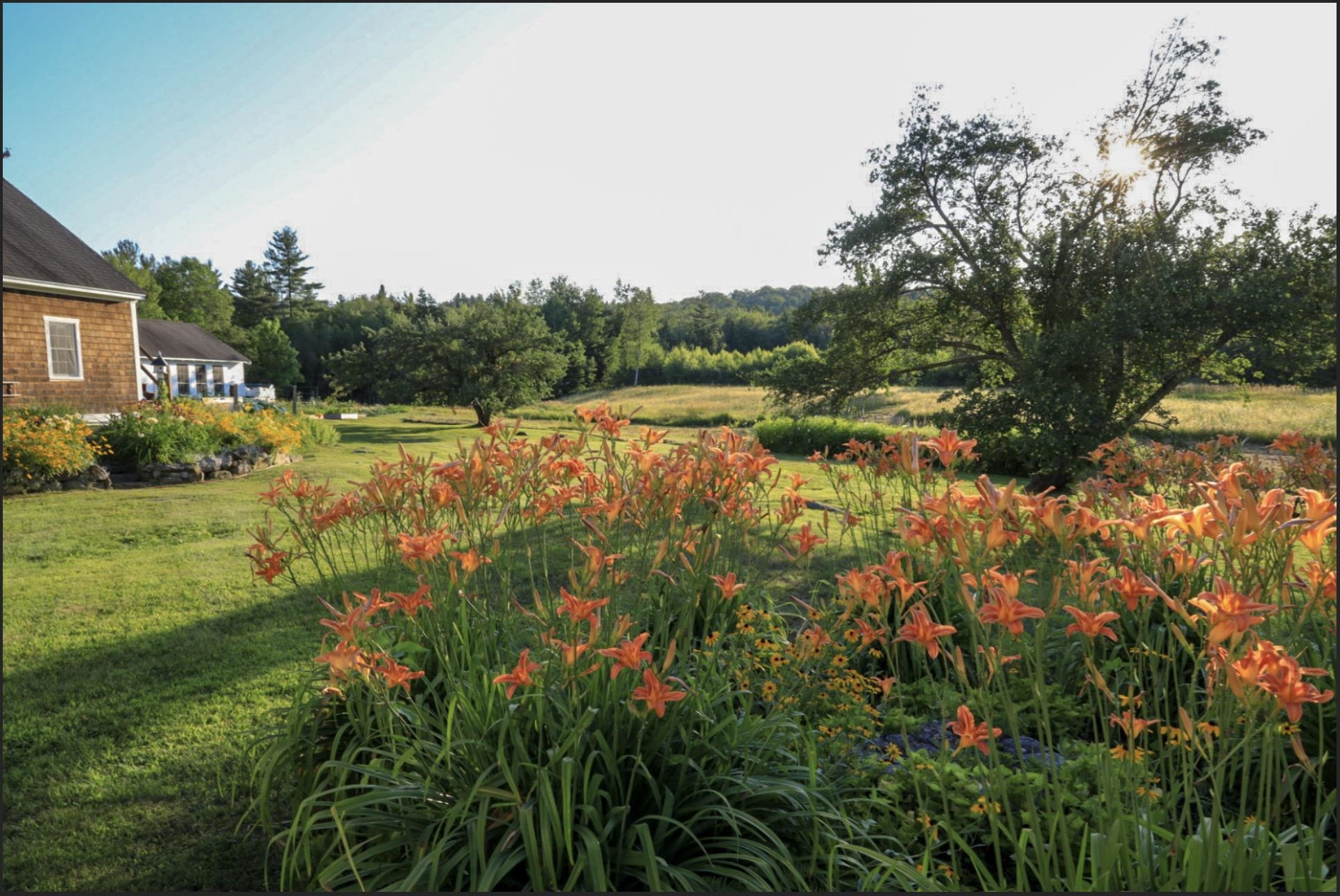 142 Whiteface Road Sandwich, NH 03259 - Photo 40 of 40