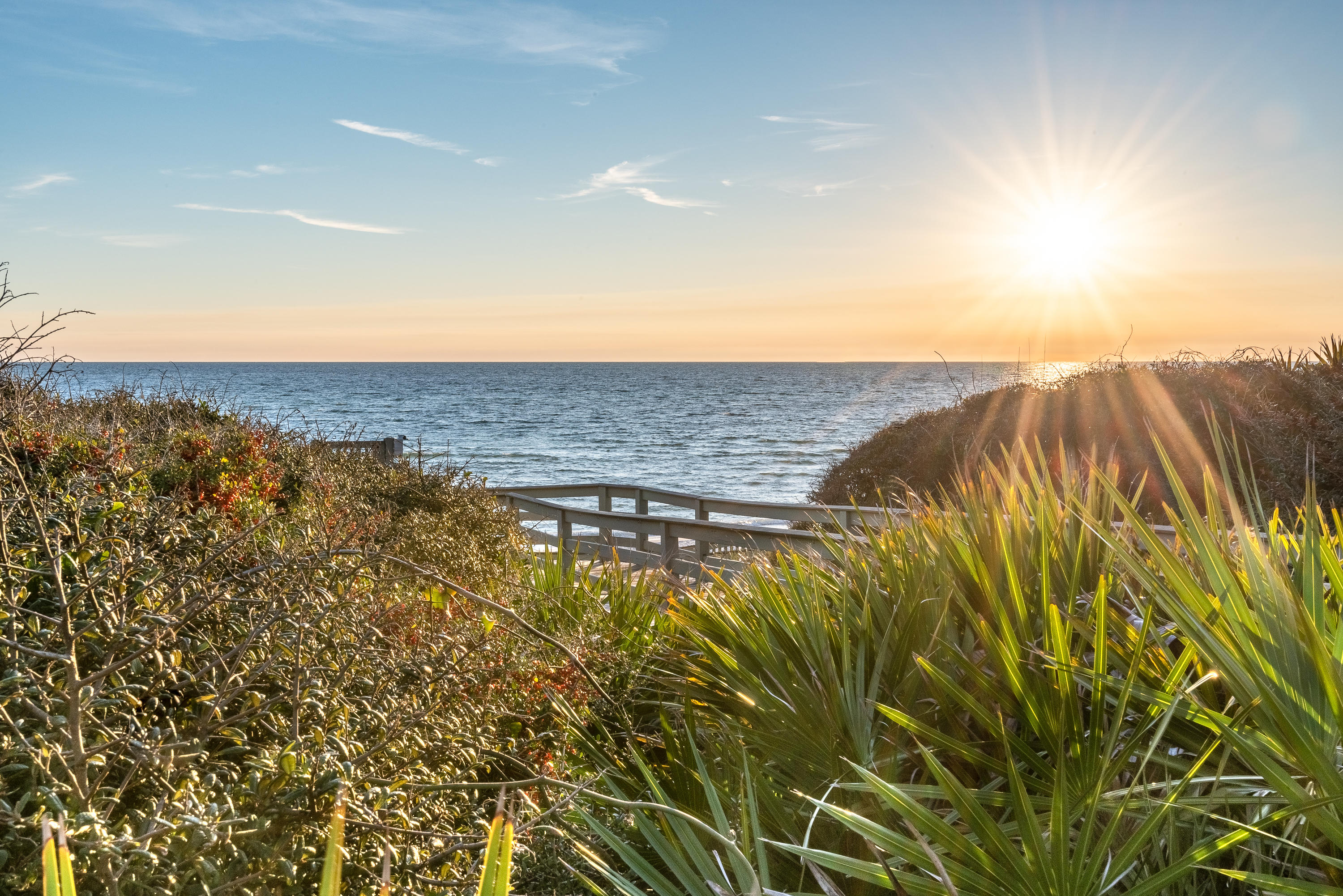 59 West Water Street Inlet Beach, FL 32461 - Photo 42 of 45 Rosemary-7