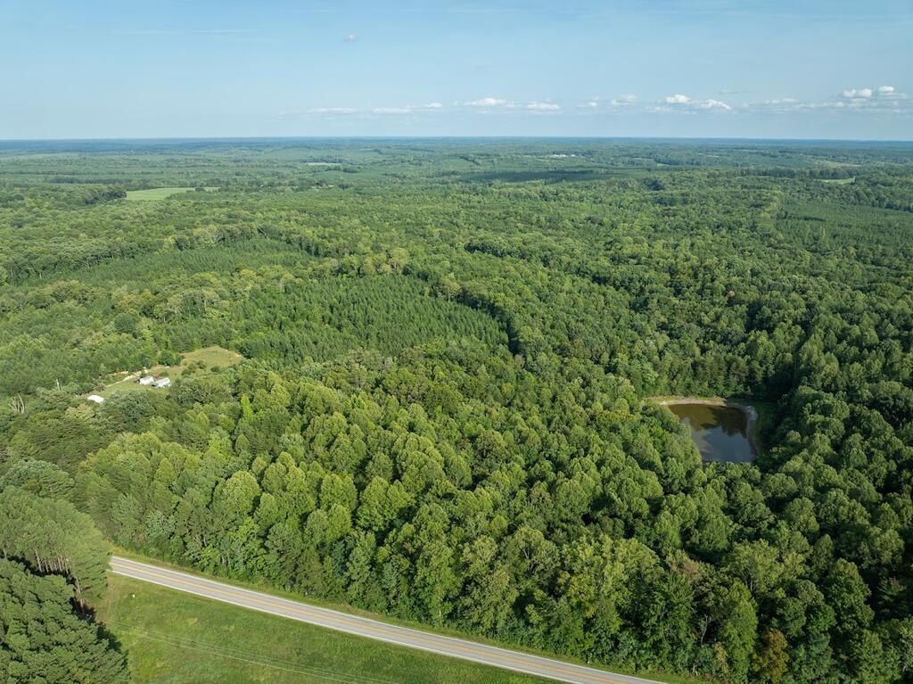 Riceville Road, Unit 2 Java, VA 24565 - Photo 3 of 24 Gallery Image 3