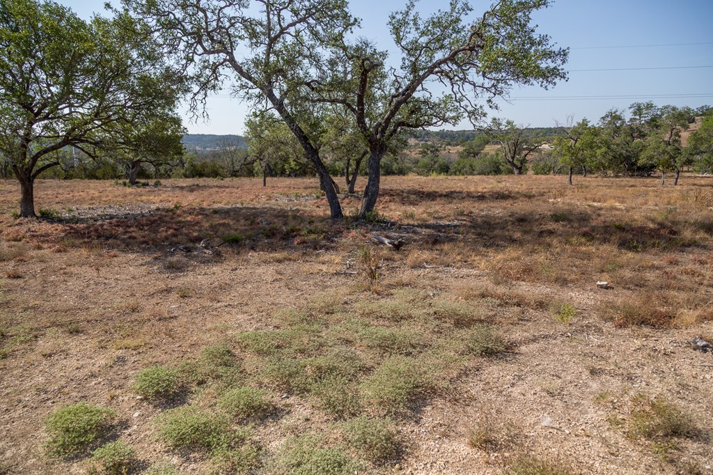 Tbd Tbd Other Center Point, TX 78010 - Photo 13 of 24