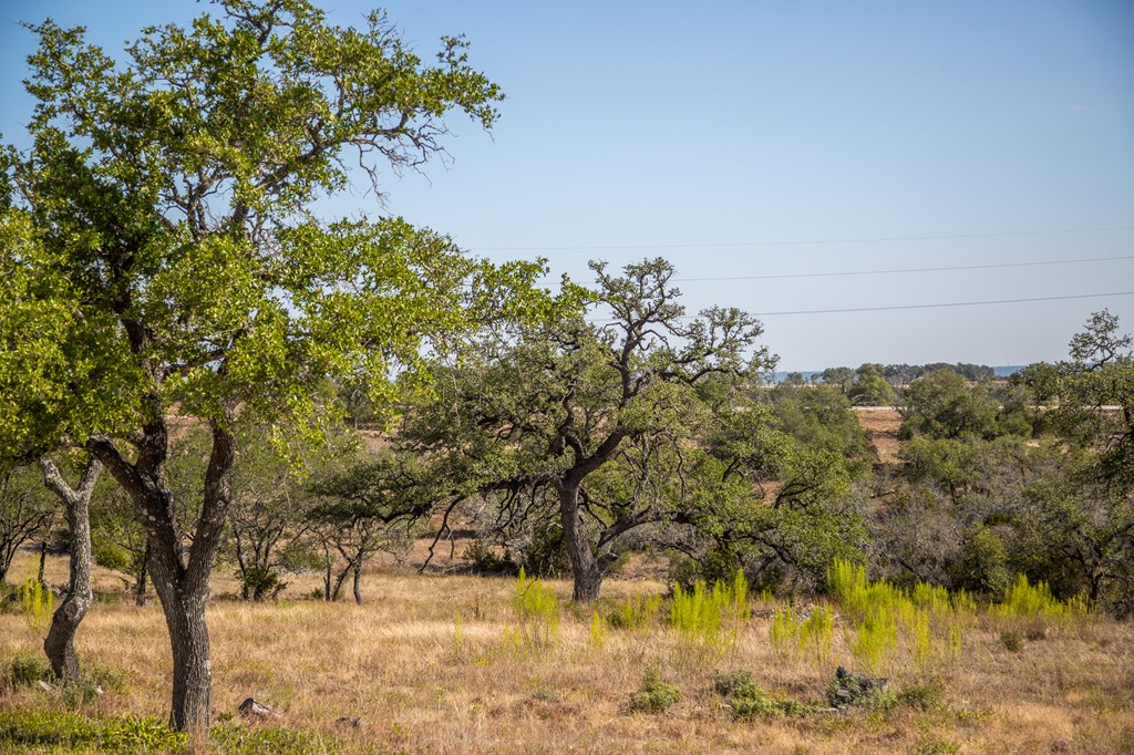 Tbd Tbd Other Center Point, TX 78010 - Photo 17 of 24