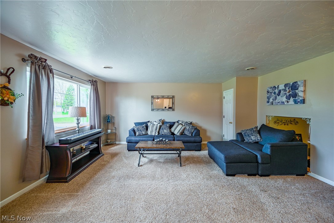 1073 Novak Road Grafton, OH 44044 - Photo 8 of 31 Gallery Image 8