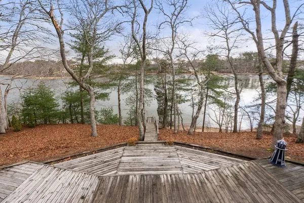 a view of a yard with trees