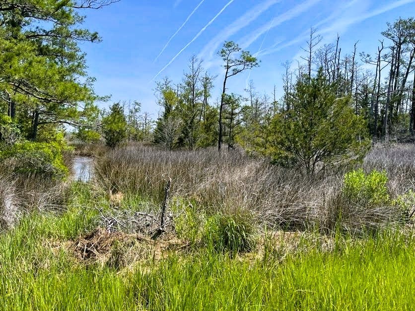 Lot 149 Guards Shore Road, Unit 149A Bloxom, VA 23308 - Photo 3 of 5