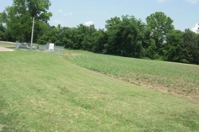a view of a field with trees in the background