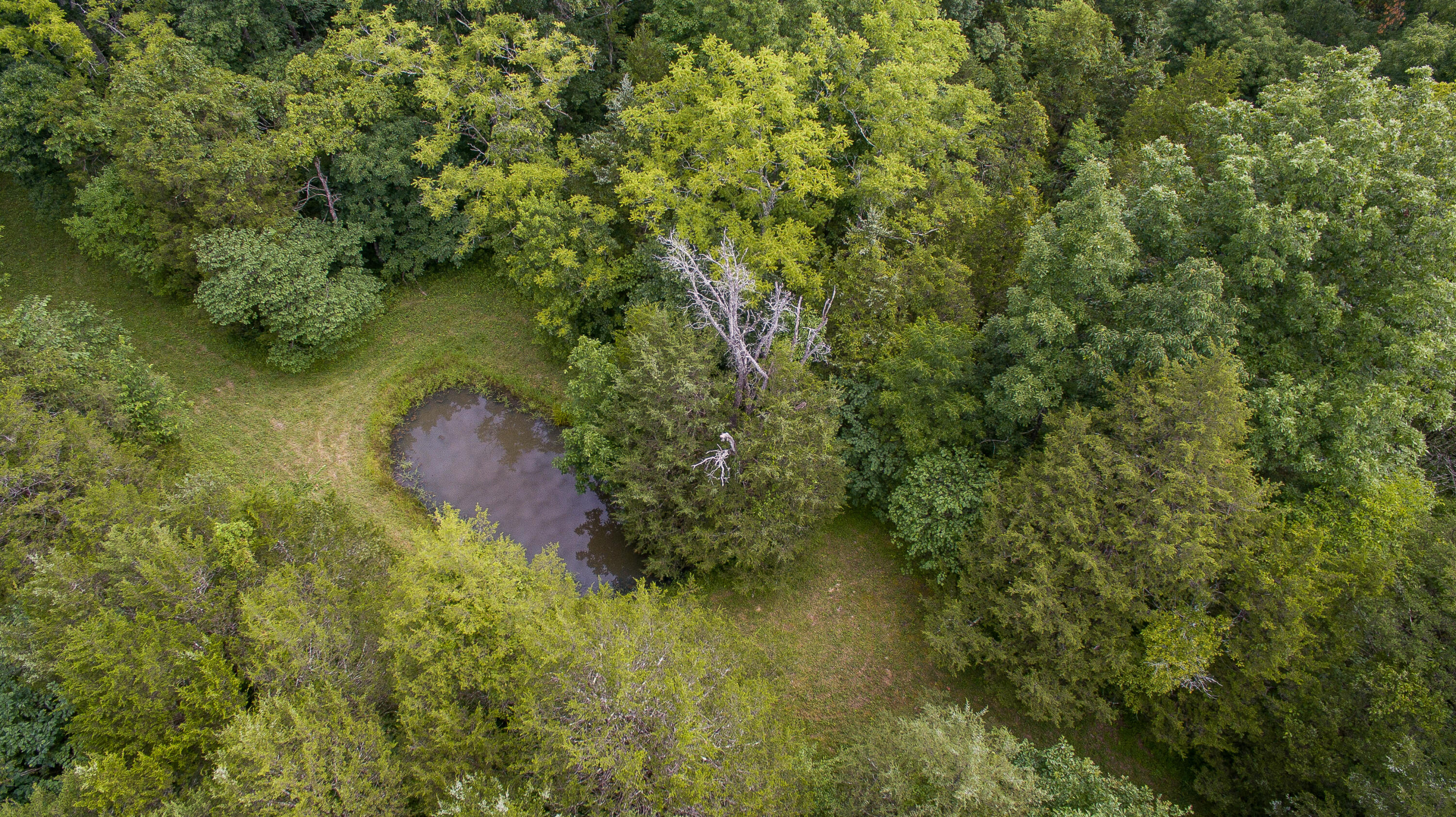 2846 Cedar Road Stamping Ground, KY 40379 - Photo 129 of 149 DJI_0053