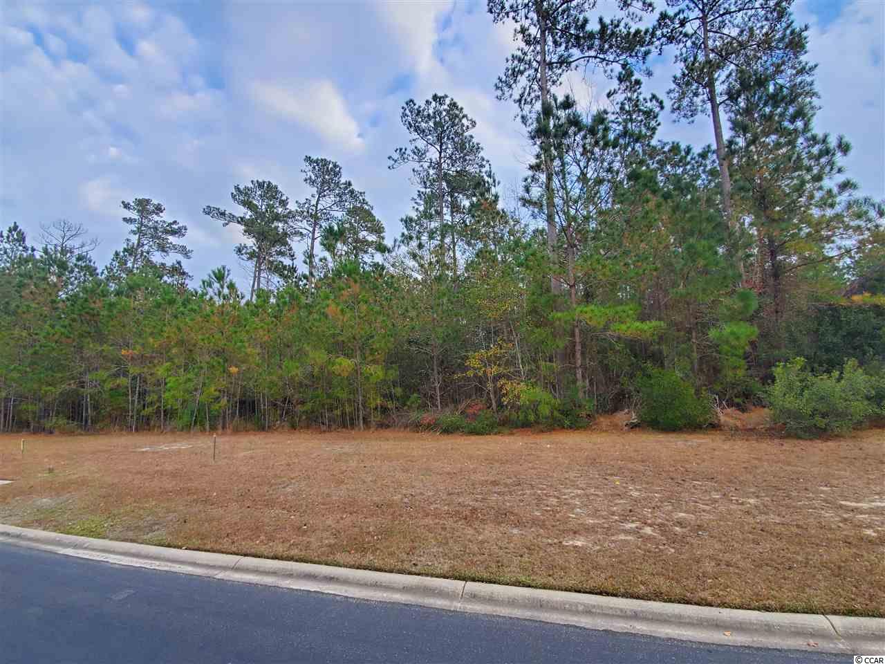 Lot 25 Grey Moss Road Murrells Inlet, SC 29576 - Photo 1 of 10 Gallery Image 1