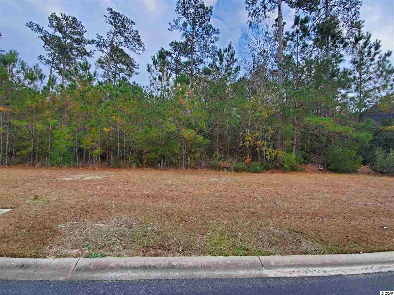 Lot 25 Grey Moss Road Murrells Inlet, SC 29576 - Photo 2 of 10 Gallery Image 2