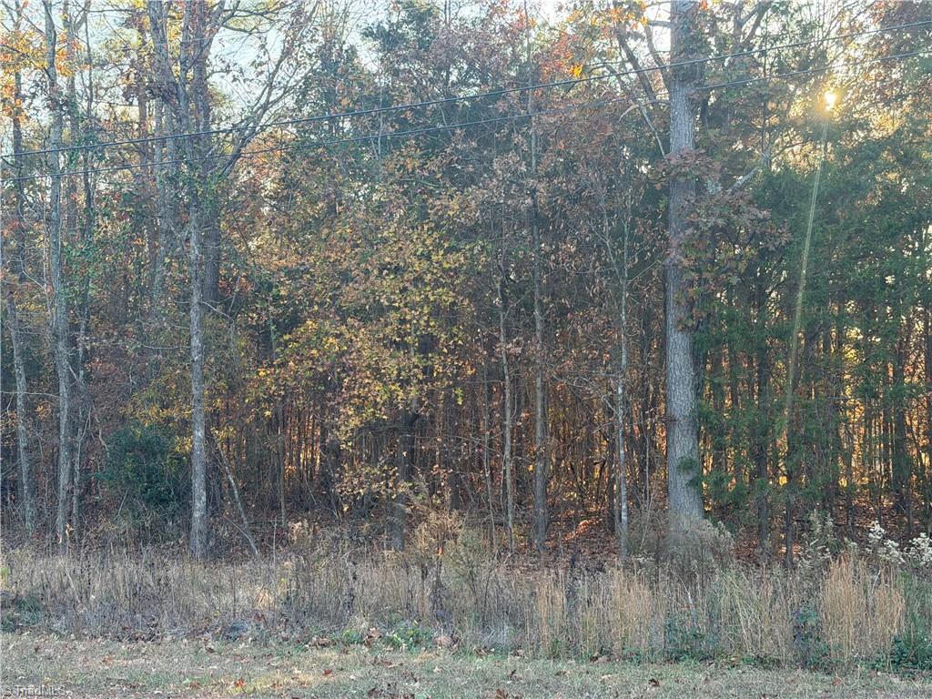 Tbd Jerusalem Road Lexington, NC 27292 - Photo 3 of 8