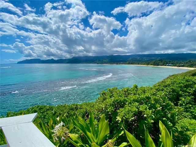 a view of a yard with an outdoor space
