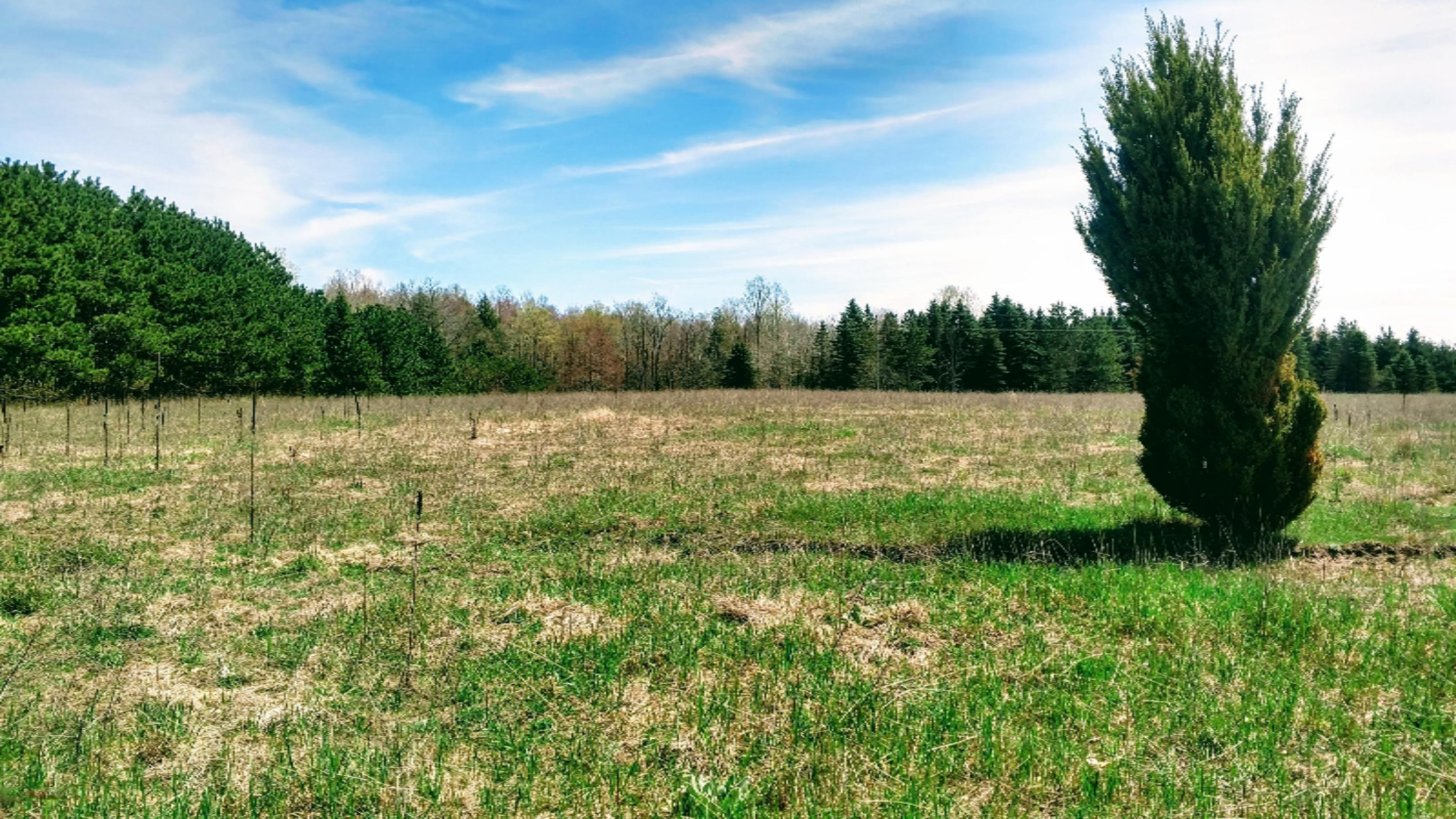 12450 9 Mile Road Kaleva, MI 49645 - Photo 26 of 30 IMG_20190507_122732525_HDR