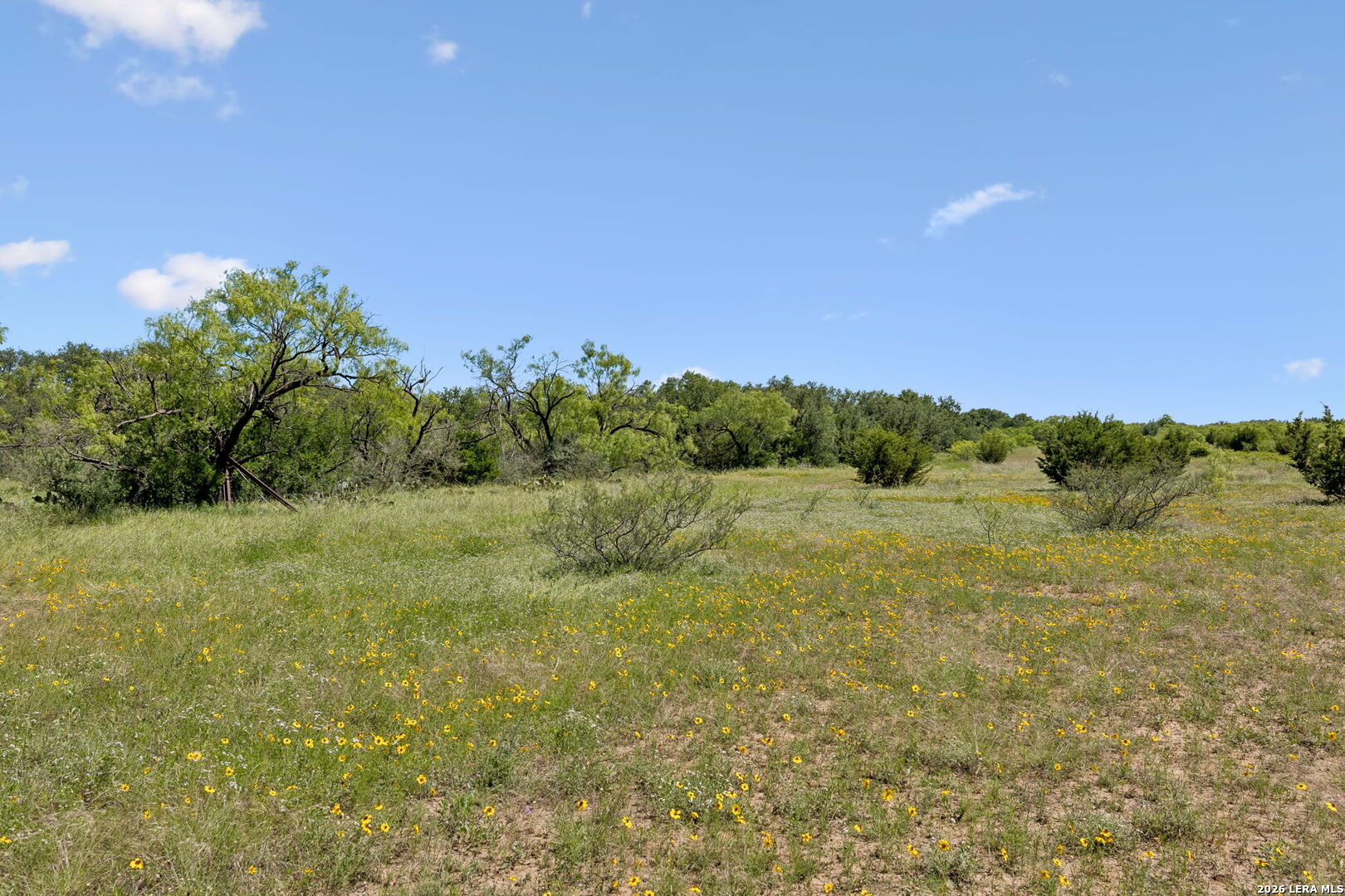 1619 Farm To Market Road 1028 Rochelle, TX 76872 - Photo 23 of 39