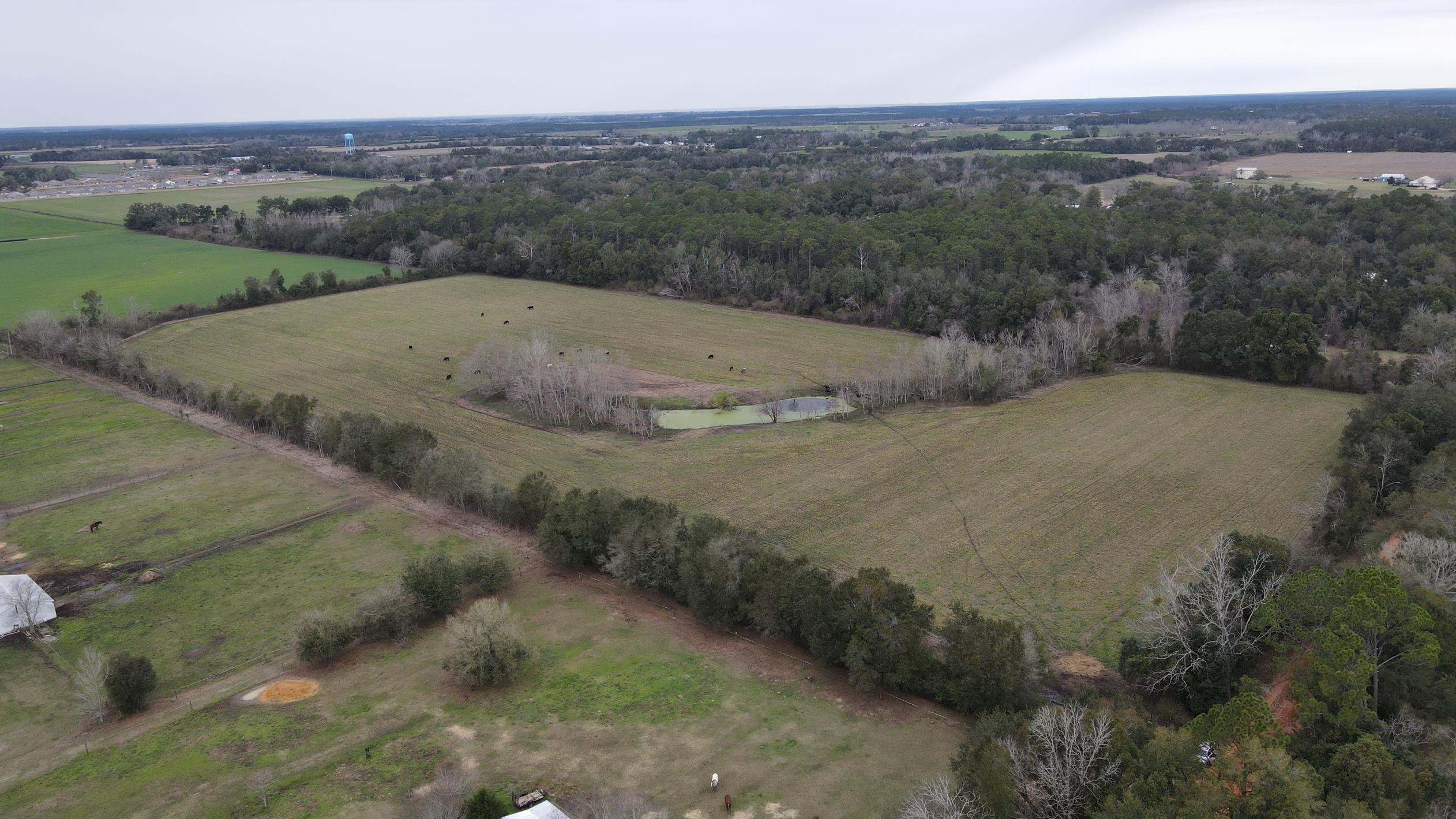 0 Hillcrest Road Lillian, AL 36549 - Photo 7 of 16
